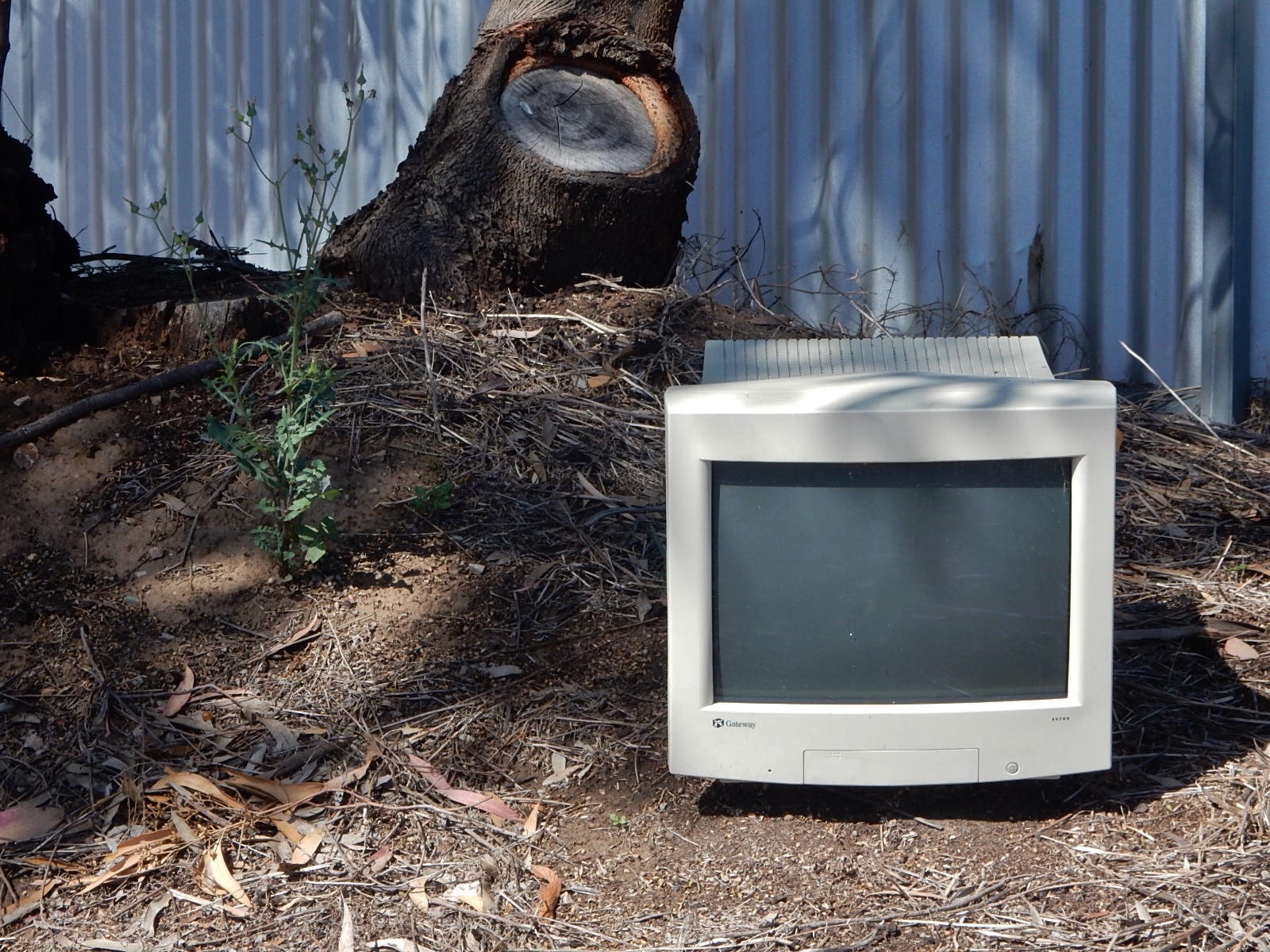 A Computer Tree